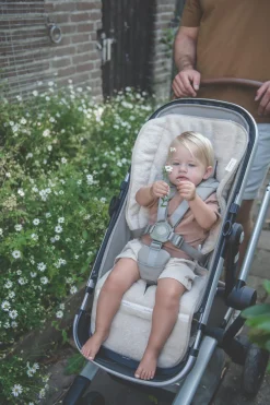 Buggy Inlegkussen Dijon Daily Sand