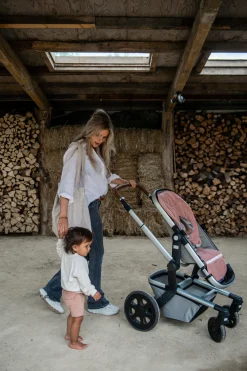 Buggy Inlegkussen Dijon Daily Earth Rose