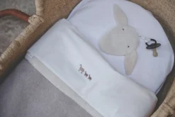 Wiegdeken Teddy Denver Clay
